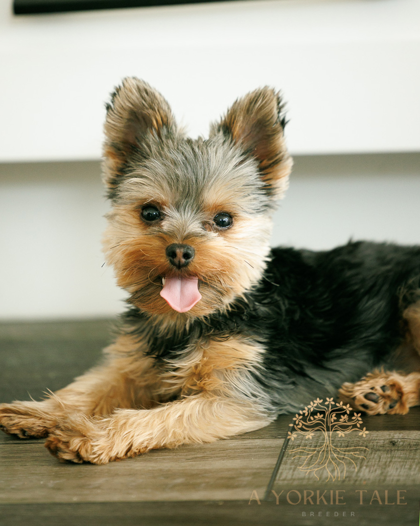 Photo Feb 28 2024, 1 28 25 PM