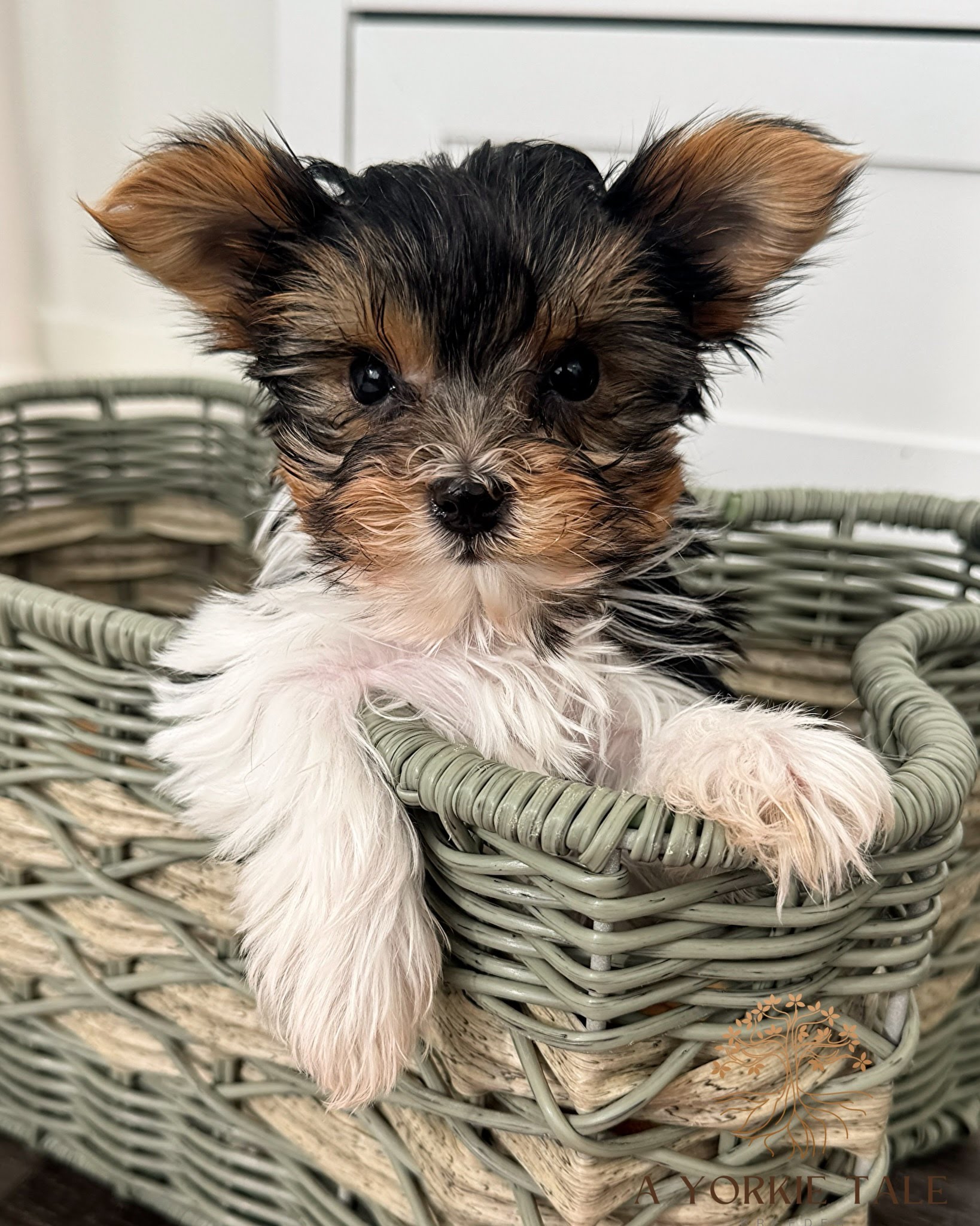 c0e5bfb8a01a94e609c0762509b3e94b95383108-1