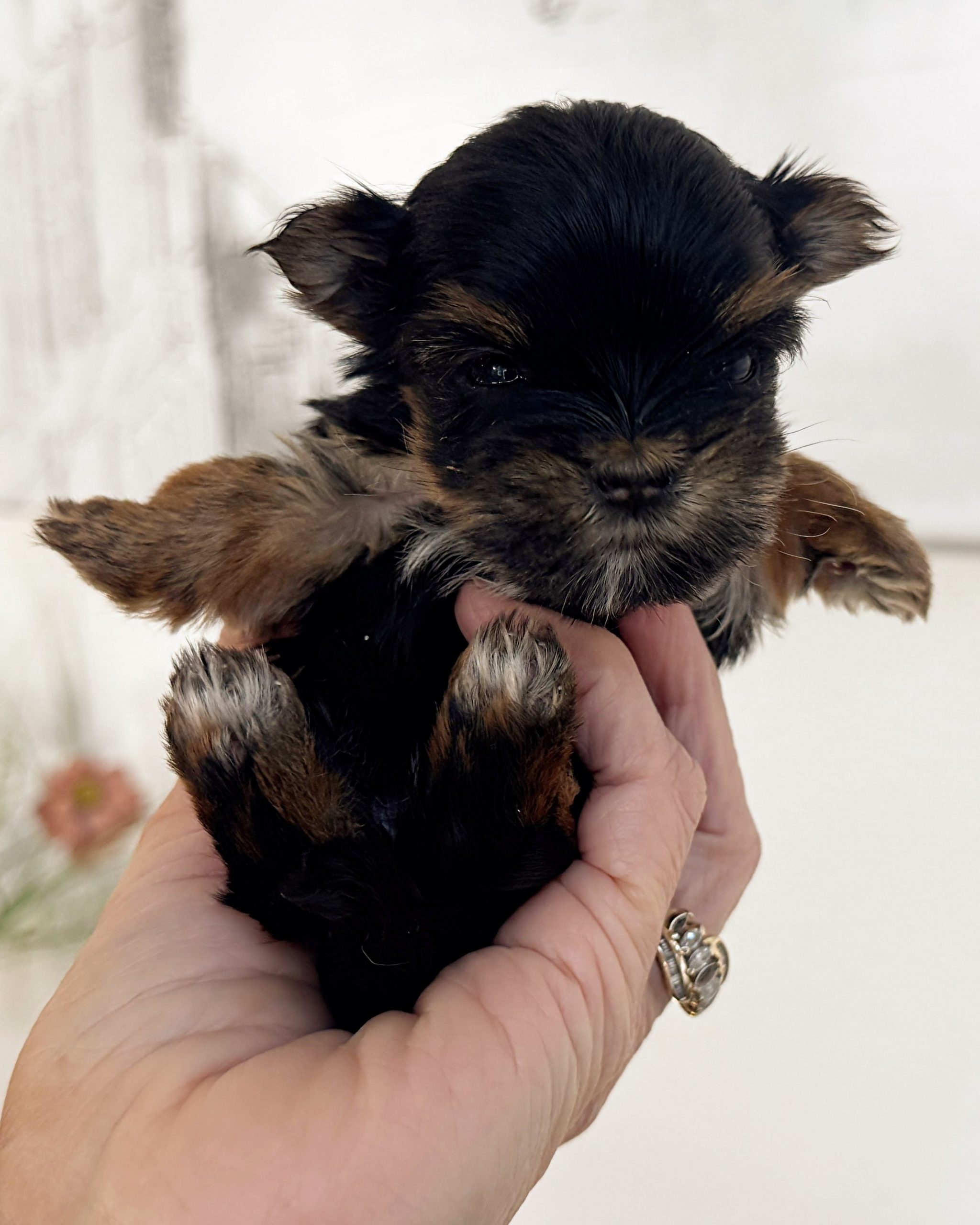 e425c257930ad618bfd31fcbfdaba6b43dbc31b3-1