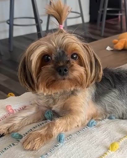 311d2b422ab206331c06481b470d6ad9dc3d0bda-1